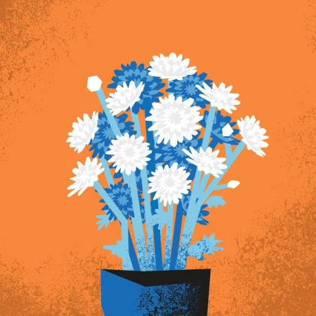 Beyond Chrysant Beyond Chrysant
